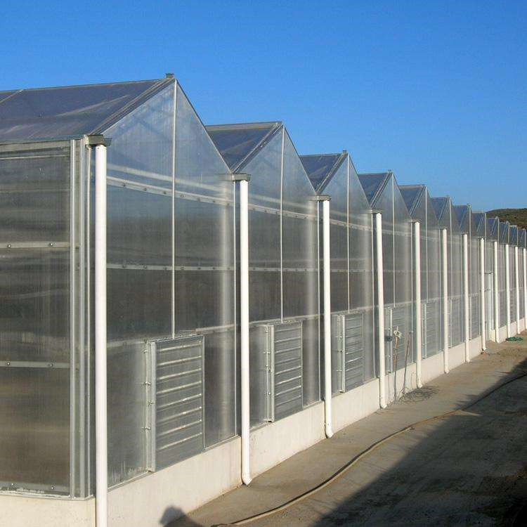 专业建设阳光板玻璃温室阳光板薄膜温室