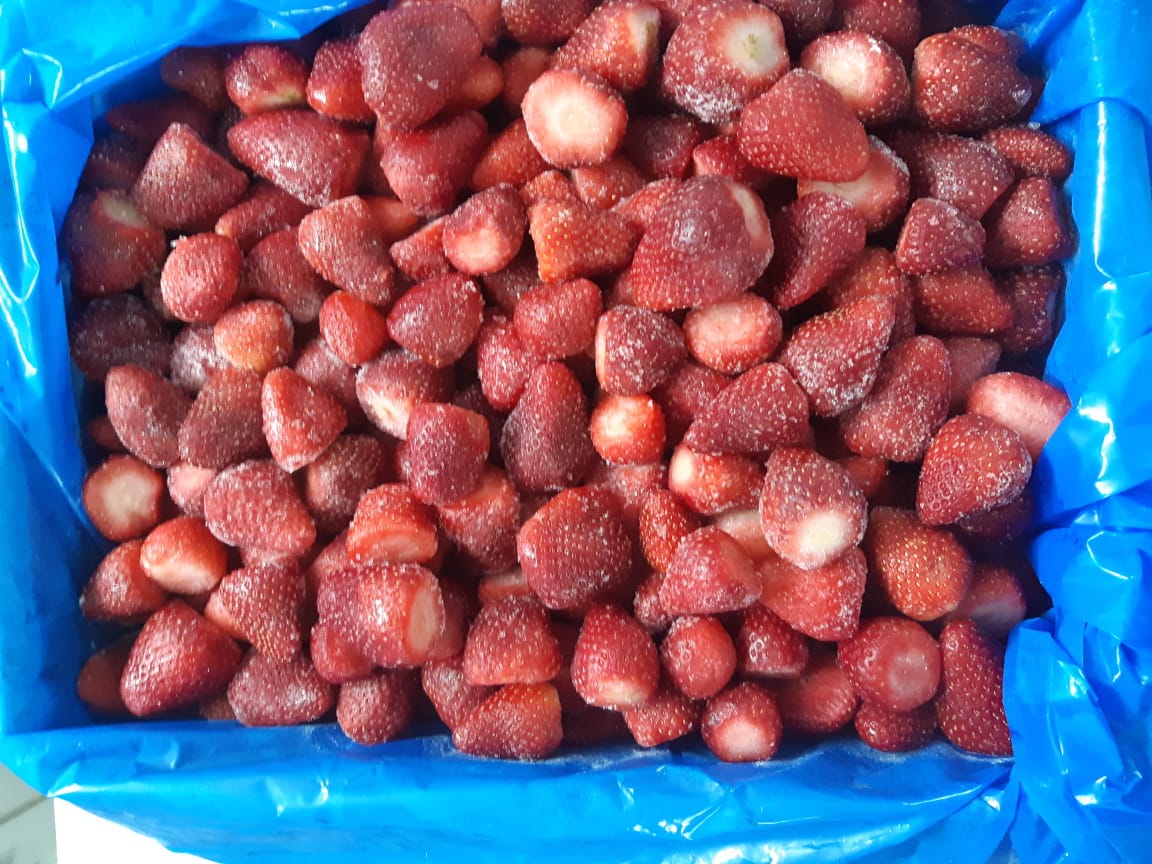 进口埃及新鲜冷冻草莓报价