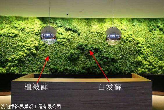 河北省景观绿雕 广州垂直绿化植物墙