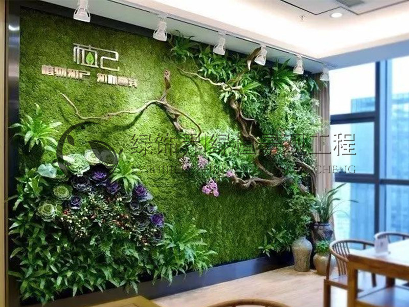 无异味垂直绿化植物墙工厂 沈阳植物墙 温度调节 降低热岛效应