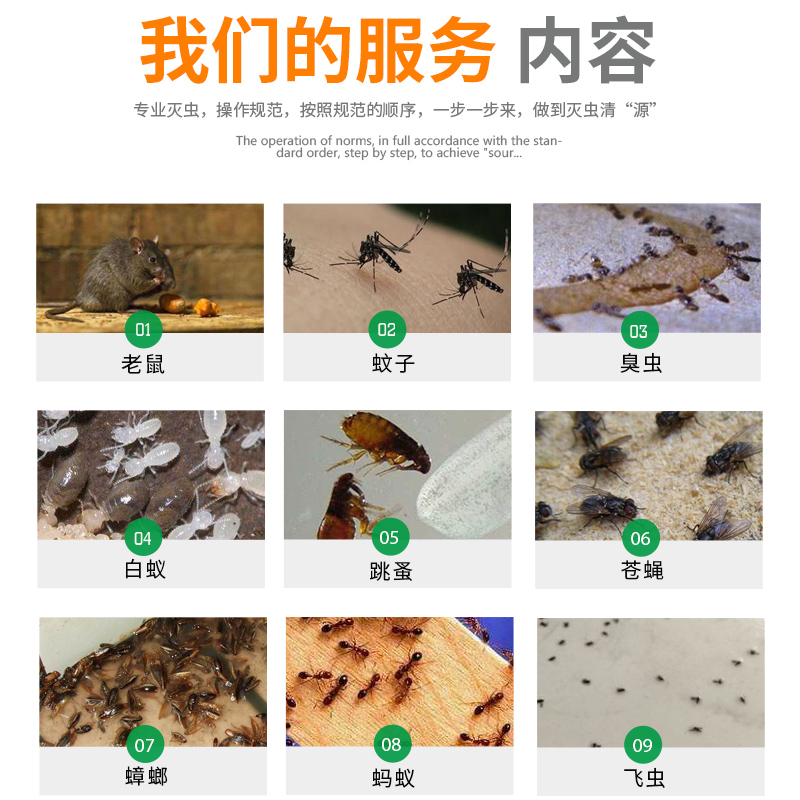 灭蚊虫公司 白蚁防制公司 湘潭灭白蚁联系方式