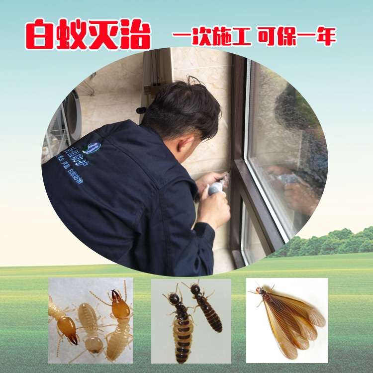 灭蚊虫公司 白蚁防制公司 湘潭灭白蚁联系方式