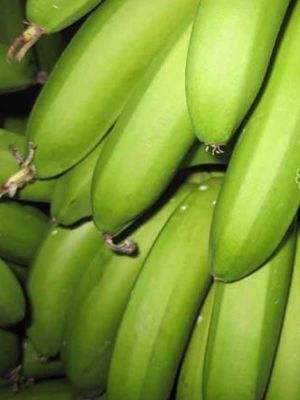 全面解析香蕉进口的流程费用 清关详情