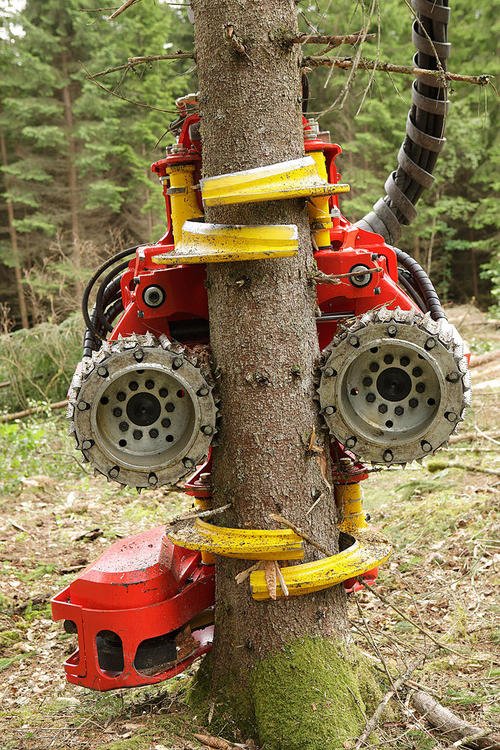小松200挖掘机伐木机电话 截段式伐树机