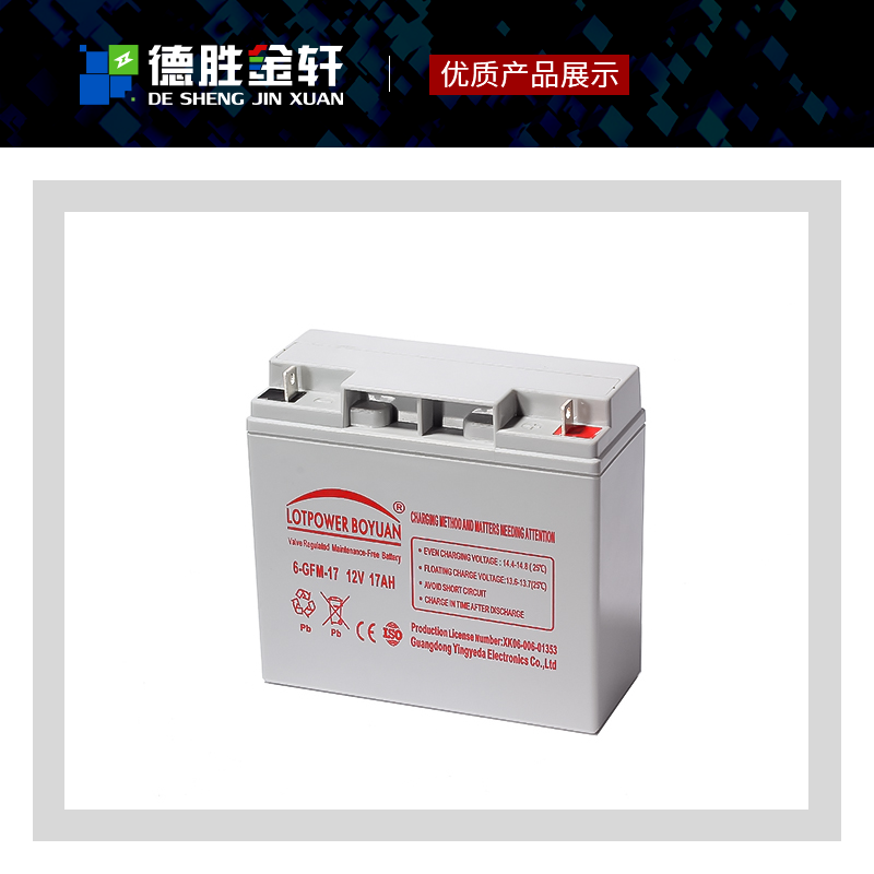 乐铂尔铅酸蓄电池LP100-2医疗石油铁路