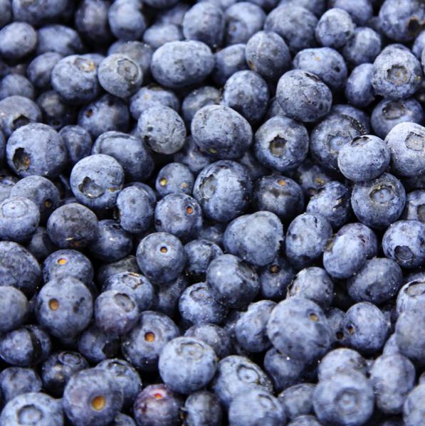加拿大进口冷冻蓝莓生产厂家 量大价优