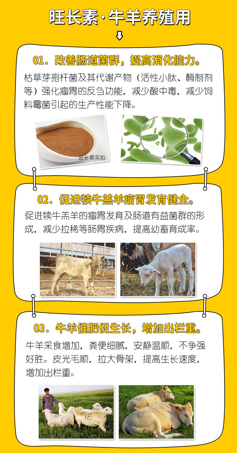 牛羊催肥旺长素的用法