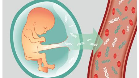 大板孕期能不能做产前胎儿亲子鉴定