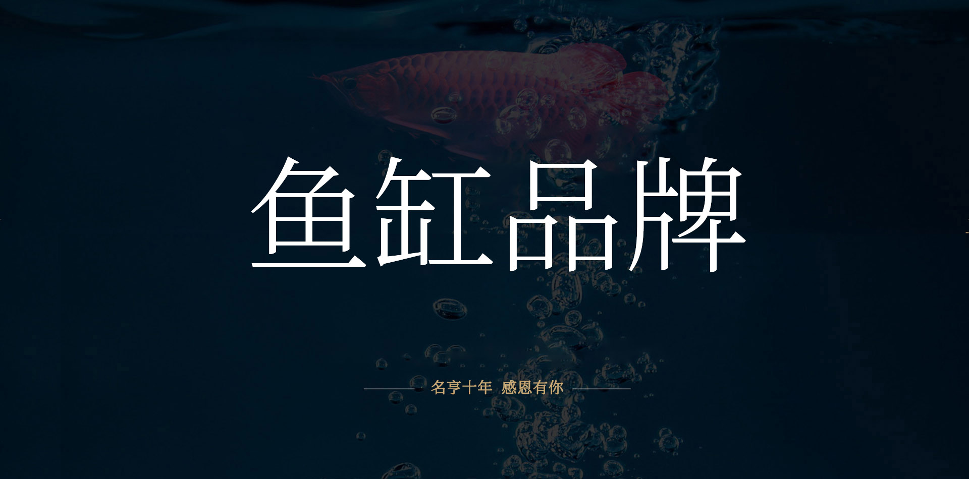 中国鱼缸**品牌可以休矣看海纳利尔陨落