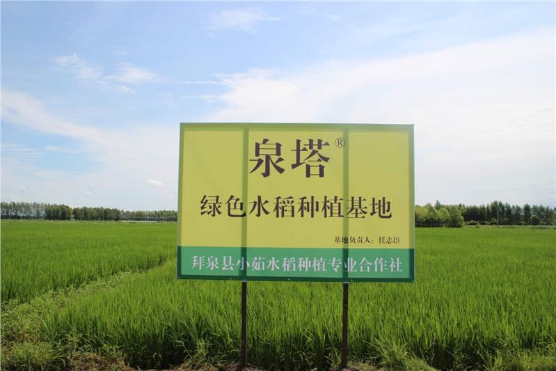东北稻花香大米产几季