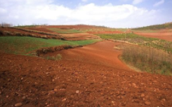 土壤检测质检报告办理机构
