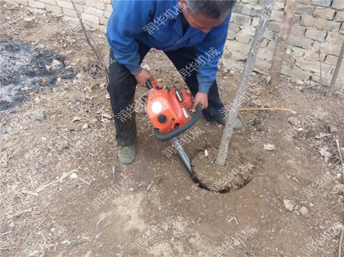 苗圃带土球挖树机 铲头式汽油挖树机 合资动力起树机