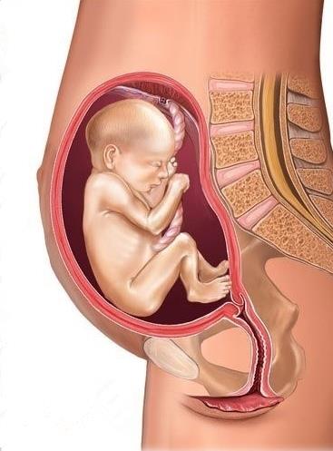 大板孕期能不能做产前胎儿亲子鉴定_免费咨询