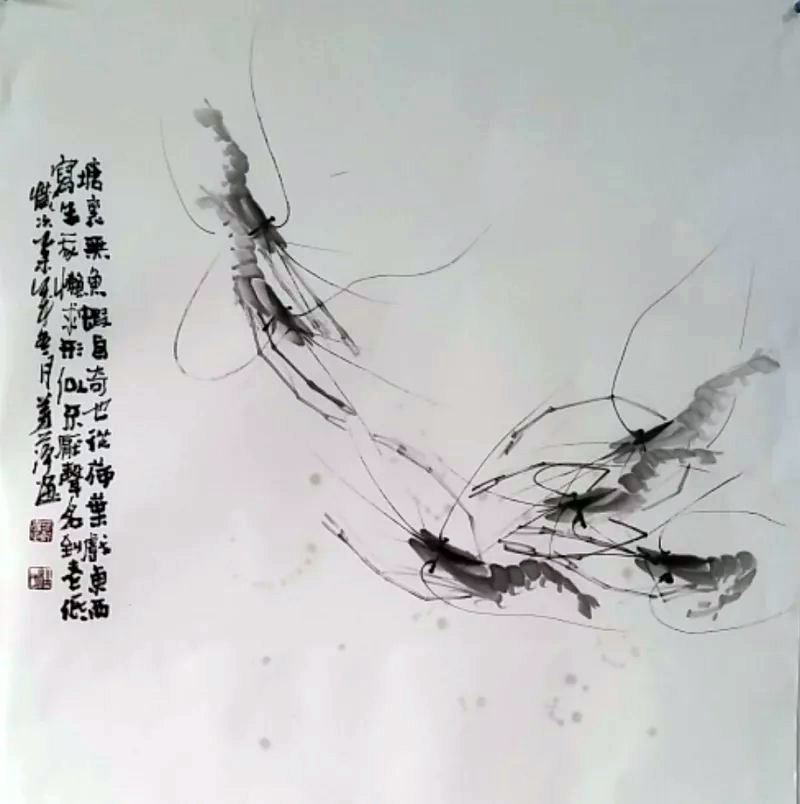 国画水墨画虾，四尺斗方，杜芳萍老师国画作品