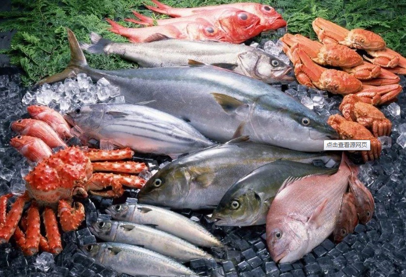 海鲜和水产品进口报关的手续区别