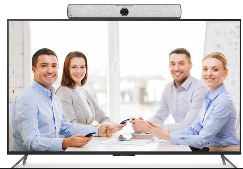 远程视频会议设备 远程视频会议