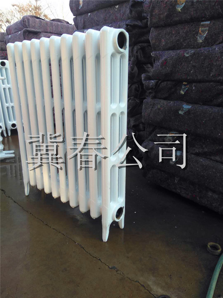 厂家直销TTYZ2-6-8(10)内腔无沙铸铁散热器