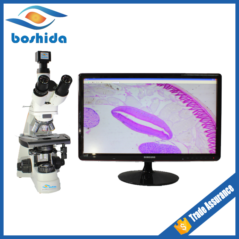 厂家直销BD-SW4001三目生物高倍高清显微镜血细胞细菌检测