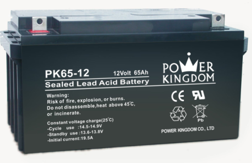 三力蓄电池PK65-12 12V65AH直流屏电池组