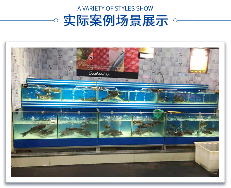 廣州定做各種尺寸超市海鮮池冷藏陳列柜_佛山海洋動物生物展覽租賃