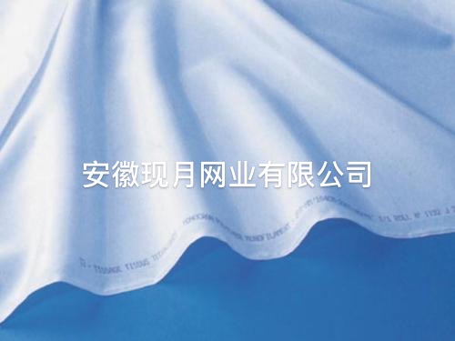 现月厂家批发12T丝印网纱 30目涤纶丝印网纱批发价格