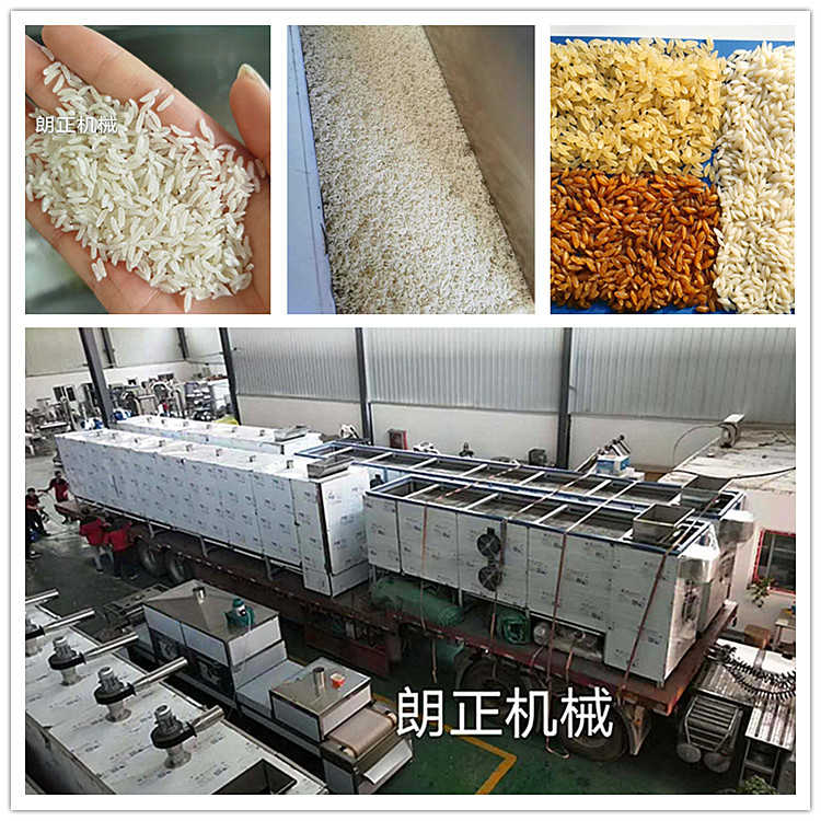 济南朗正机械膨化大米食品机械