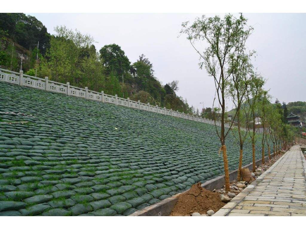 山东厂家 土工袋 生态袋 边坡绿化河道护坡