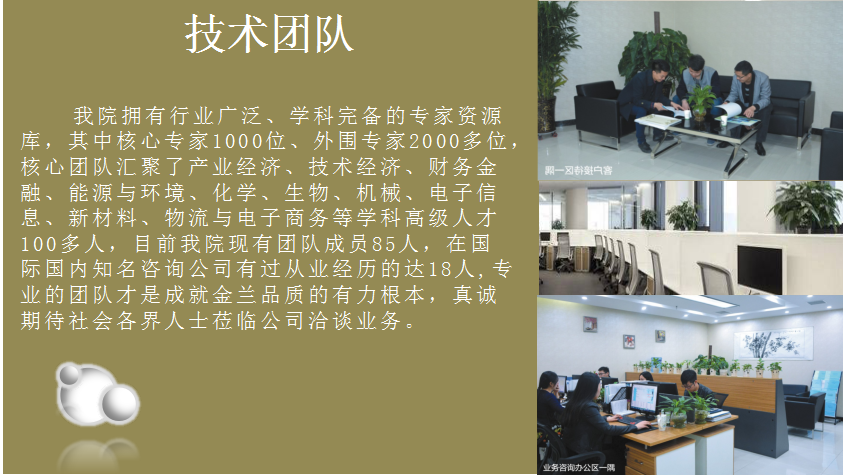 辽阳市项目申请报告十八年经验