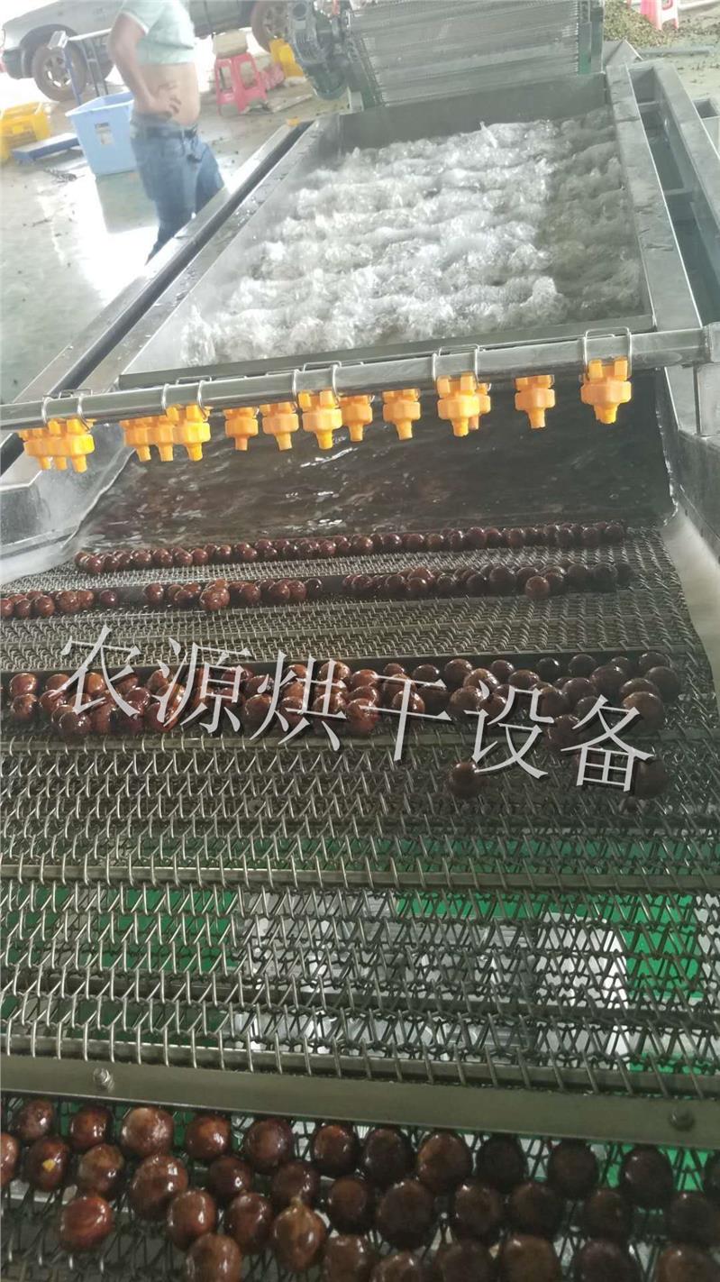 深圳澳洲坚果烘干机供应