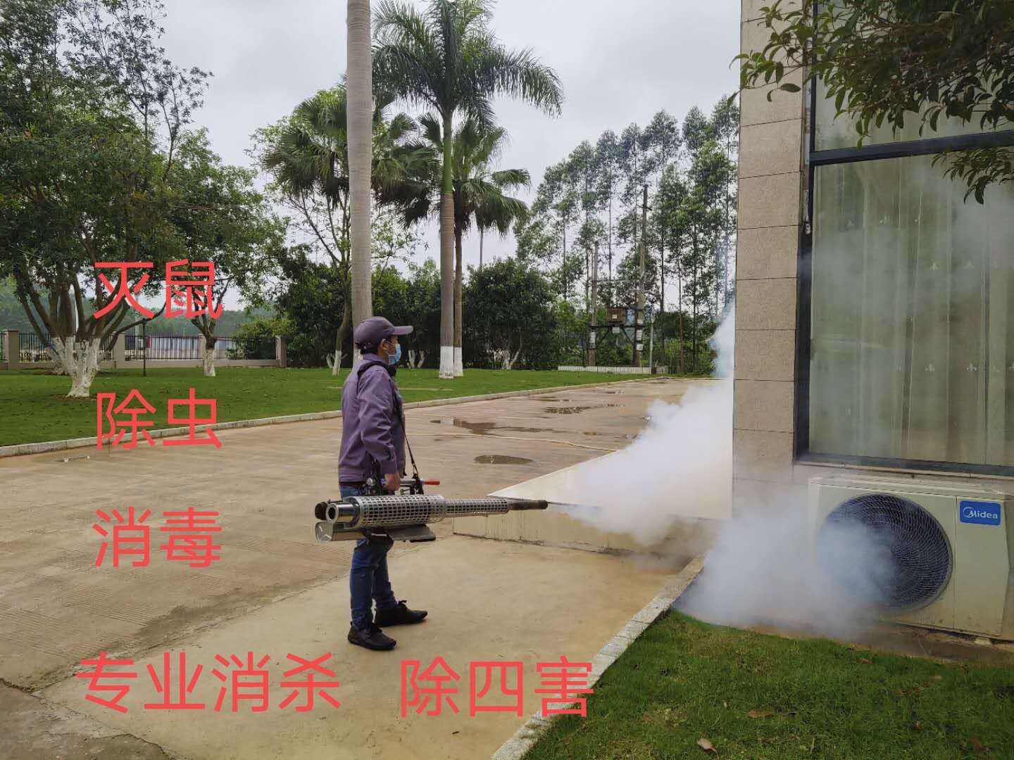 南宁容县灭蚊虫如何治理 安全措施