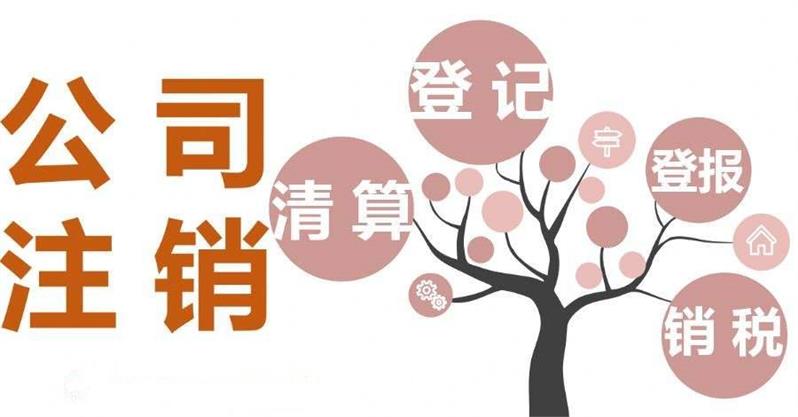 北京文化公司注销流程