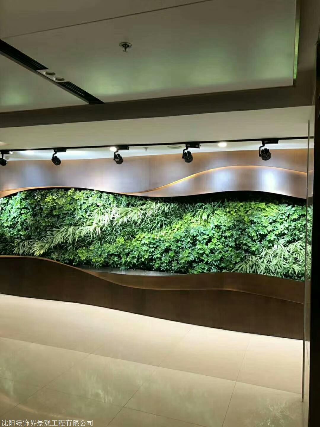 哈尔滨市植物墙维护养护 绿植墙样式优雅绿饰界景观工程