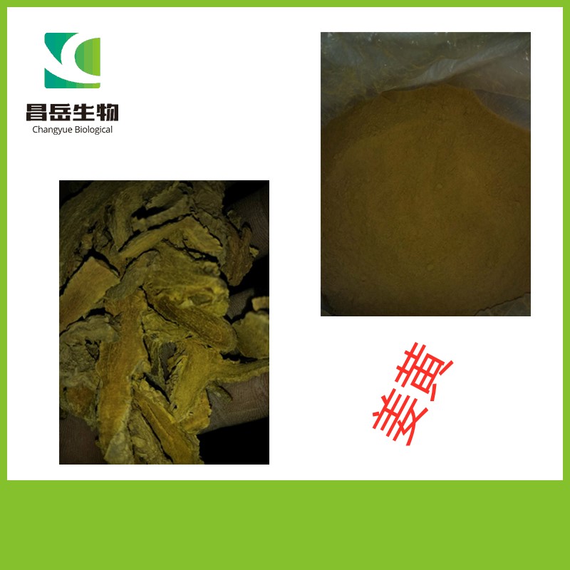 西安昌岳生物 厂家现货供应姜黄提取物 姜黄素