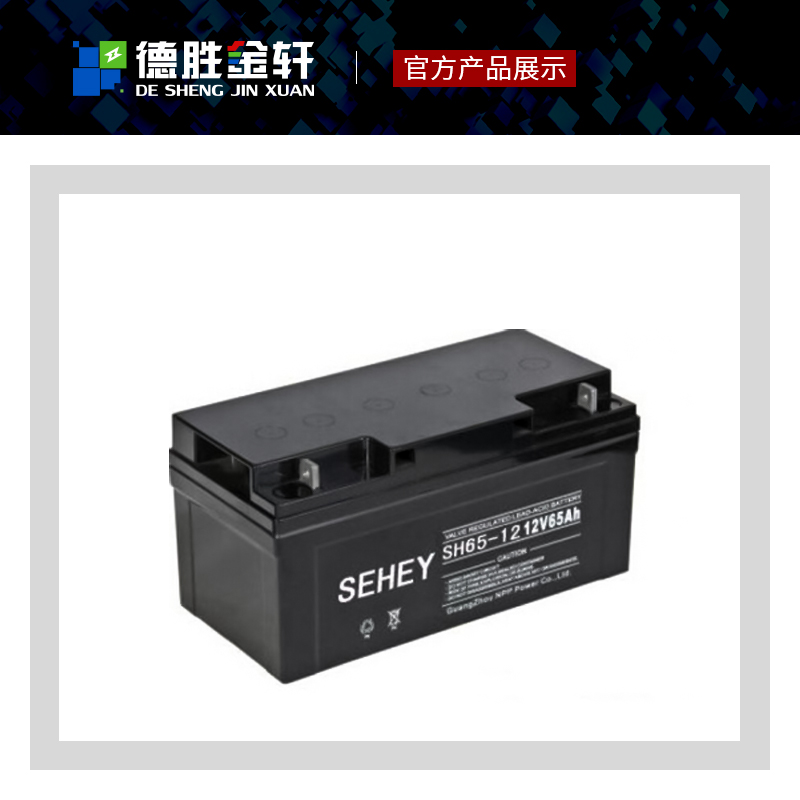 中国香港西力达蓄电池SL12-250卷绕管状胶体蓄电池牵引性电动汽车