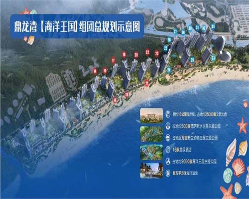 2020湛江鼎龙湾，**海景房，给您一个四季如春的家！