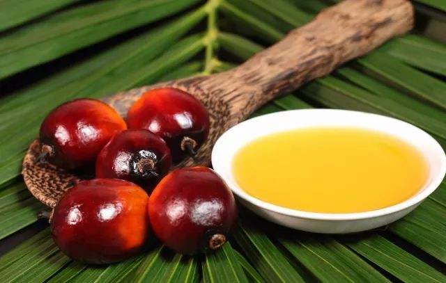 棕榈油进口手续与资质有哪些 棕榈油进口清关代理费用