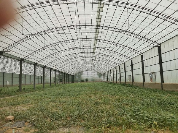 农业温室大棚采光板阳光板透明瓦