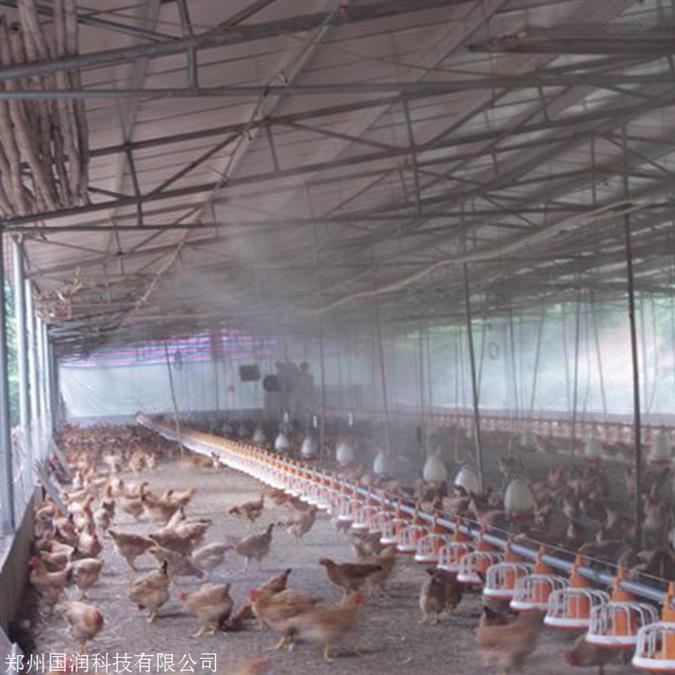鸡舍降温喷雾机 养殖场喷雾消毒设备 降温 消毒 一机两用