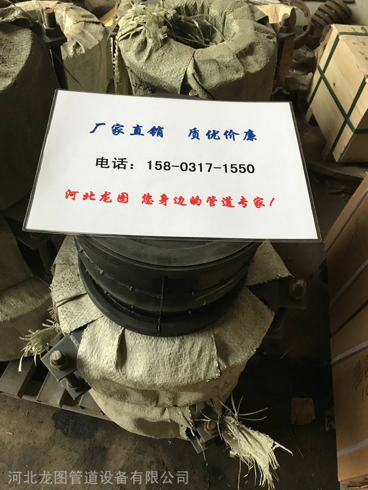 供应天津DN80食品级橡胶避震喉