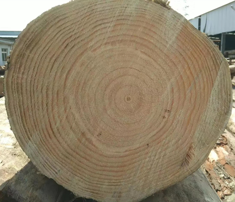 商洛市名和沪中木材松木方料 建筑木方规格尺寸