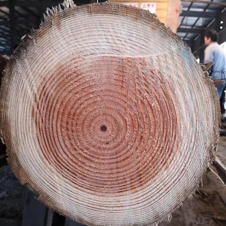 汉中市工程口料辐射松方木