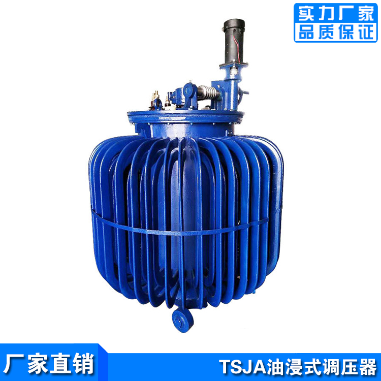 TSJA-400KVA油浸式调压器参数 0-500V可调