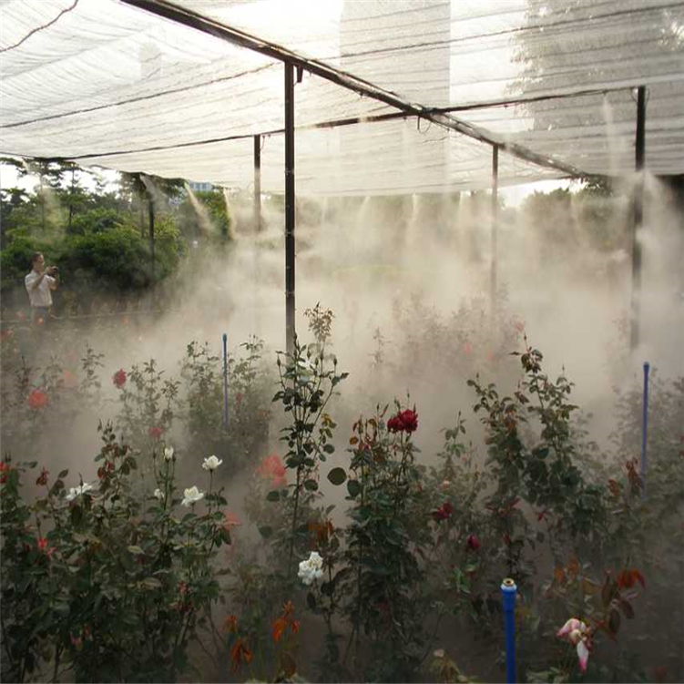 杭州小溪冷雾设备 喷雾设备厂家