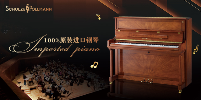 上海查伦钢琴 mp-121md 欢迎咨询 舒意钢琴供应