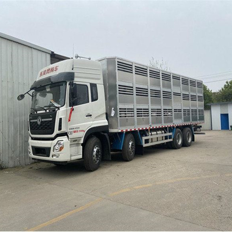 运输国六活猪运输车的厂家 生猪拉运车的尺寸