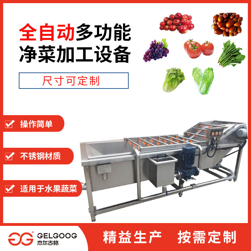 河南果蔬清洗机 西红柿加工设备 应用广泛 清洗干净 杰尔古格全国可发