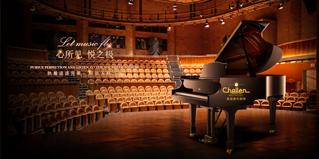 上海查伦钢琴mp121sd 欢迎来电 舒意钢琴供应