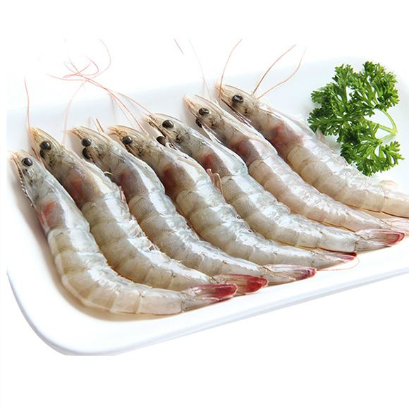 上海实力清关公司 对虾进口清关专业处理