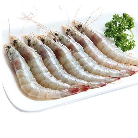 对虾白虾进口怎么报关 有什么特殊要求吗