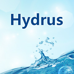 hydrus 2d_hydrus学习班